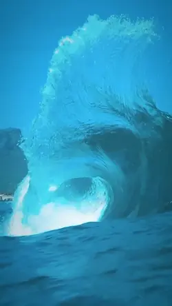 8 videos or photos 