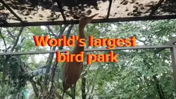 Bird Park