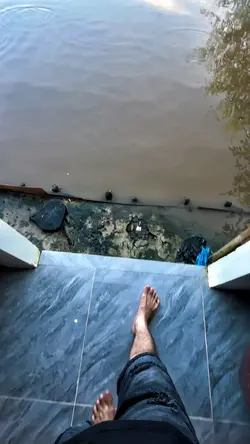 Nói chung anh em là 