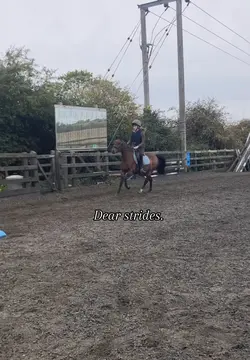 eventer eq frfr