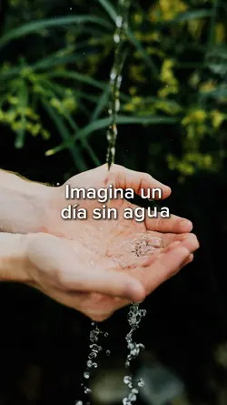 Día del agua 4.