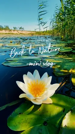 back to nature
