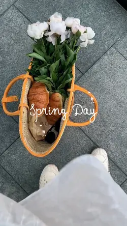Spring Day