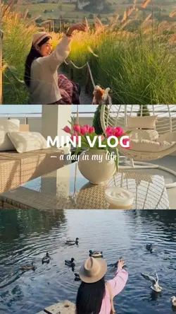 a day in my life