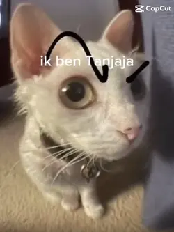 Ik ben tanjaja