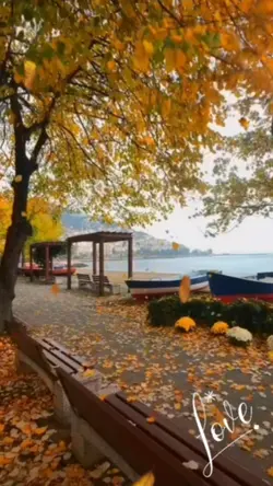 Sonbahar rüzgarı
