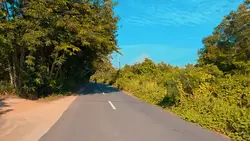 Cinematic videos