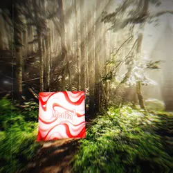 Forest 😔