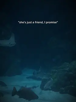 scotty doesn't know