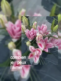 je peux laimer