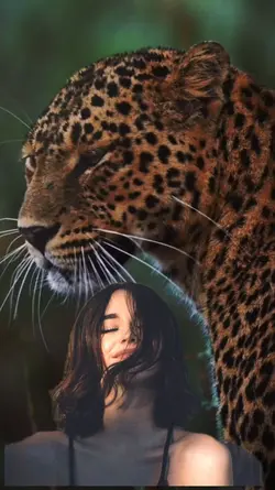 cheetah