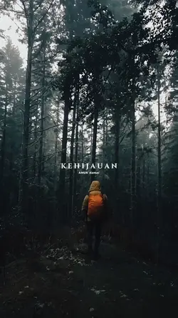 Damai - Amuk