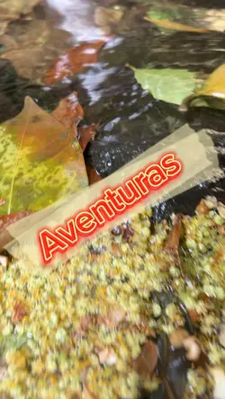 Aventuras 