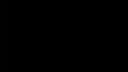 Sonic logo