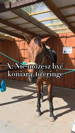 Tenuś w tle <3