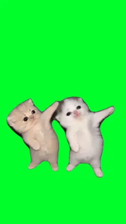 Shake it kittens