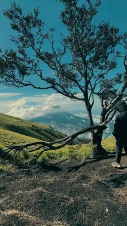 1 vid 7 foto kece v4