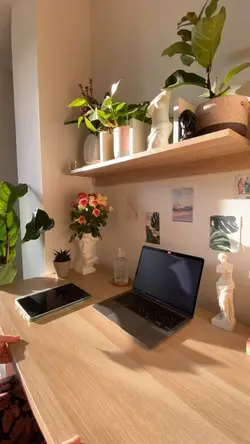 Timelapse sound