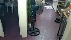 Lambingan sa umaga