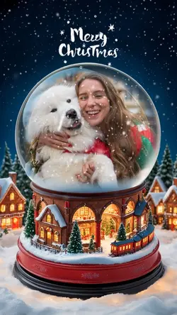 Snow globe 🎅✨