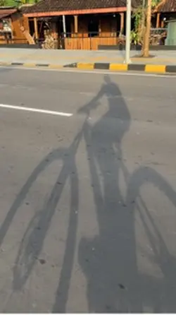 GOWES
