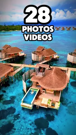28 photos or videos 