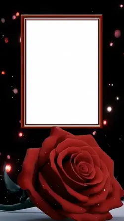 Red Rose