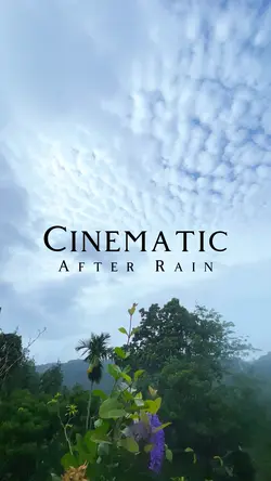 After rain Cinematic