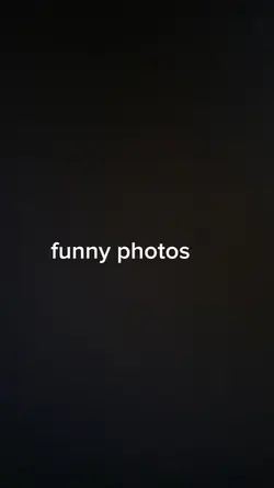 funny photos