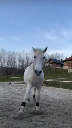 RARARARAR SO CUTE