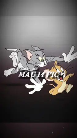 Mẫu 14 ảnh