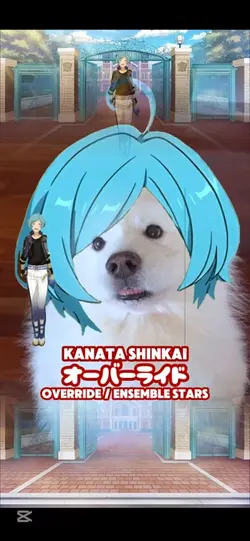 OVERRIDE KANATA