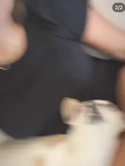 😻😻.