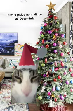 pisi pisi pisi