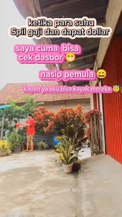 pemula FB pro 
