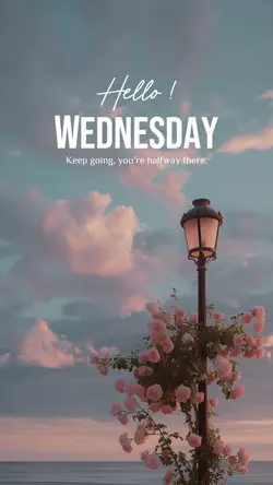 Hello Wednesday