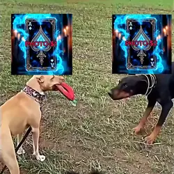 new edit master