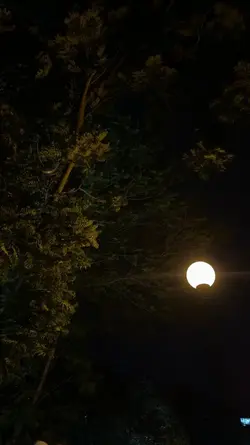 vazgeçer mi