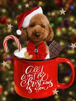Christmas Photo Meme