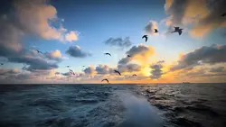 Đổi tình đổi áo