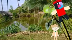 kể chuyện hái dừa
