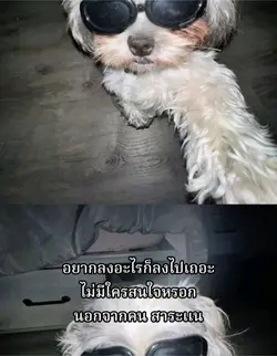 ทำไมต้องมีเสาร์อาทิตย์ครับ