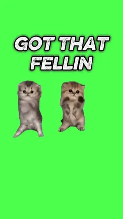 GOT THAT FELLIN