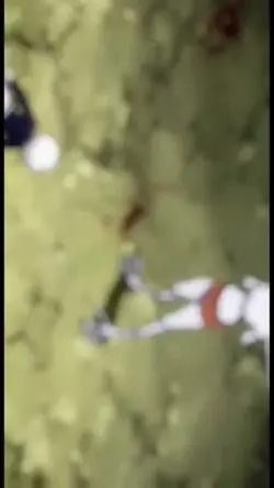 Free edit 