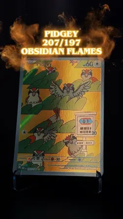 Card showcase