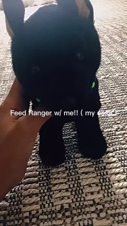 Feed ranger w/ me!!