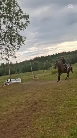 ramlade av när jag-