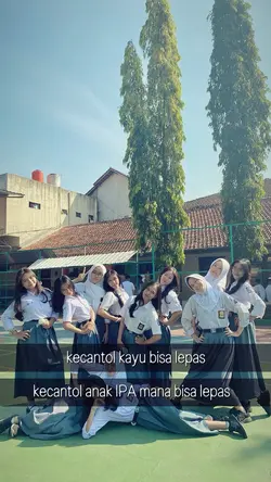 kecantol kayu