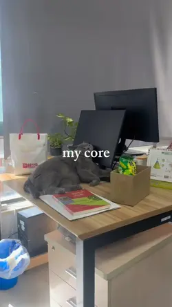 my core 3 video meme