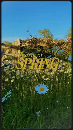 Charm of spring 